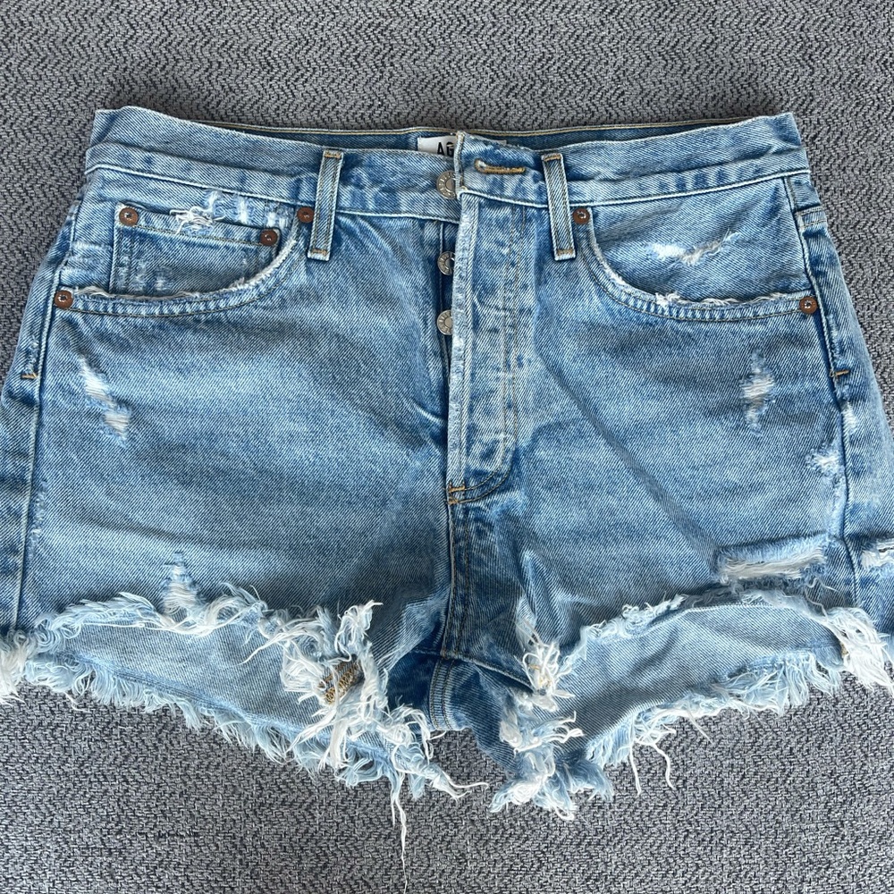AGOLDE Parker Vintage Cutoff Shorts in Swapmeet